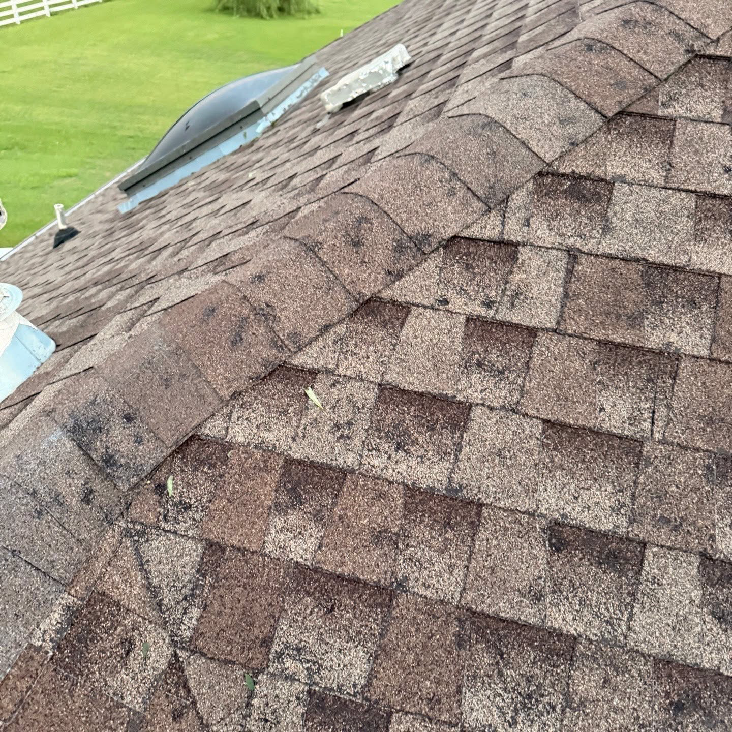Storm damage on roof shingles